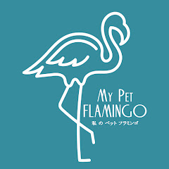 My Pet Flamingo S Net Worth In 2020 Youtube Money Calculator