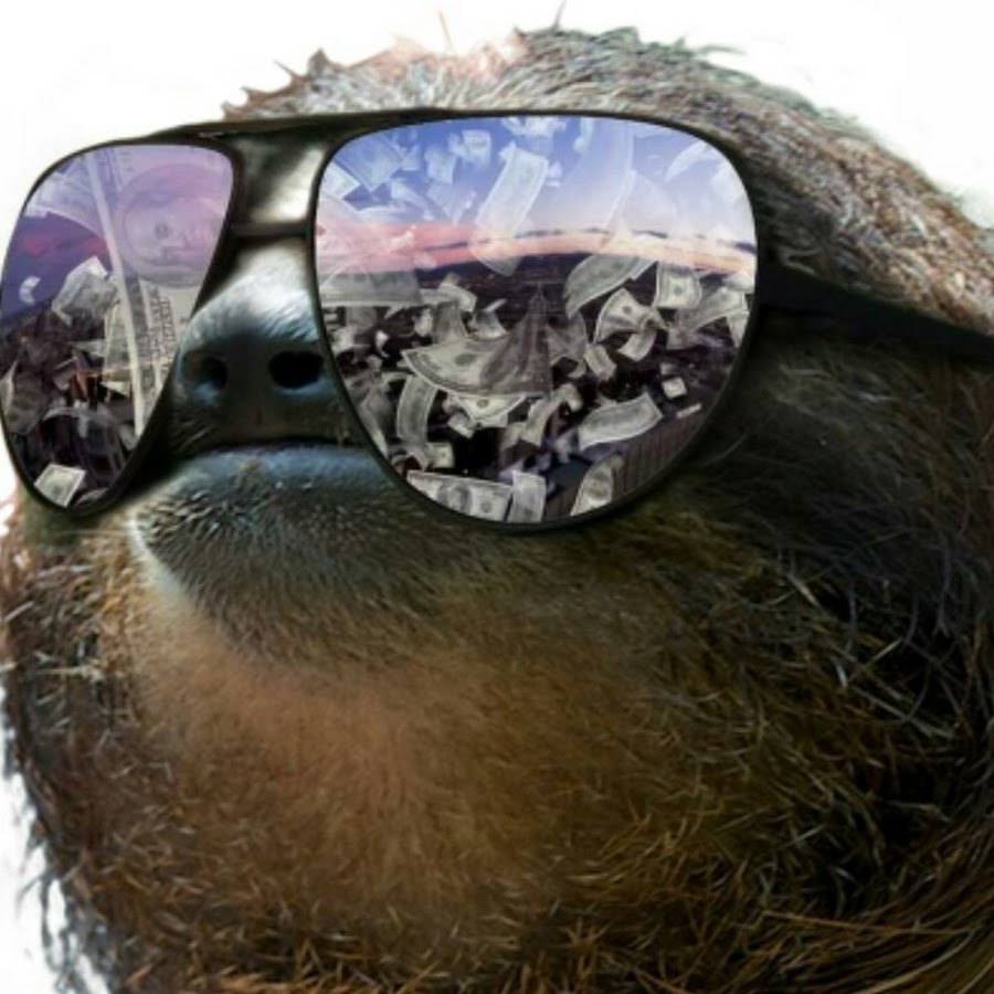 Lazy Sloth 444 Youtube