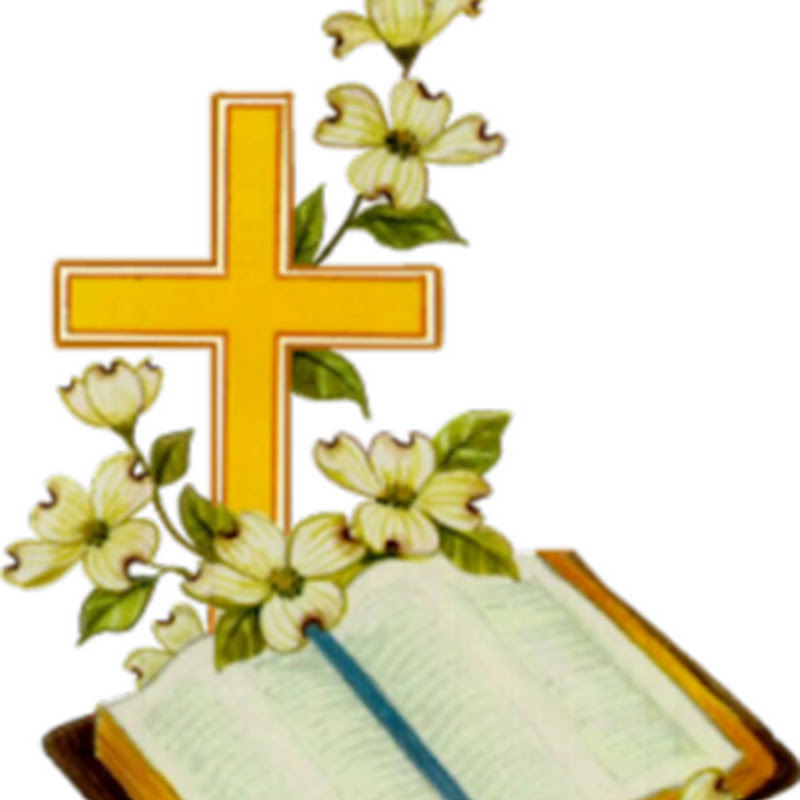 ������� �������� � ��������