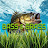 BASS & GRASS