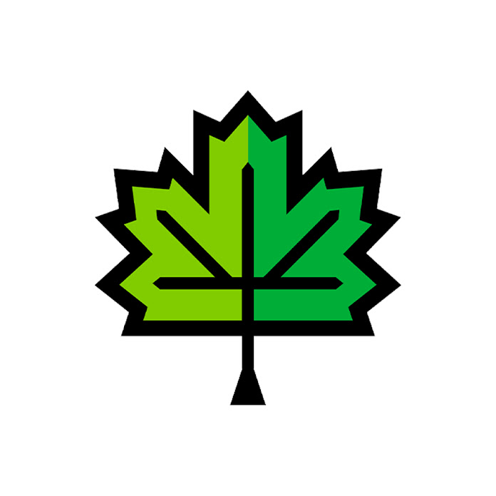 ÇINARALTI Net Worth & Earnings (2026)