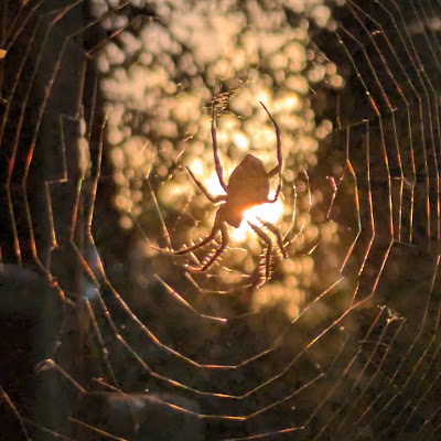 Ians Gaming Lab Malaysia Nax Vliplv - 