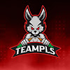 What could TeamPls buy with $100 thousand?