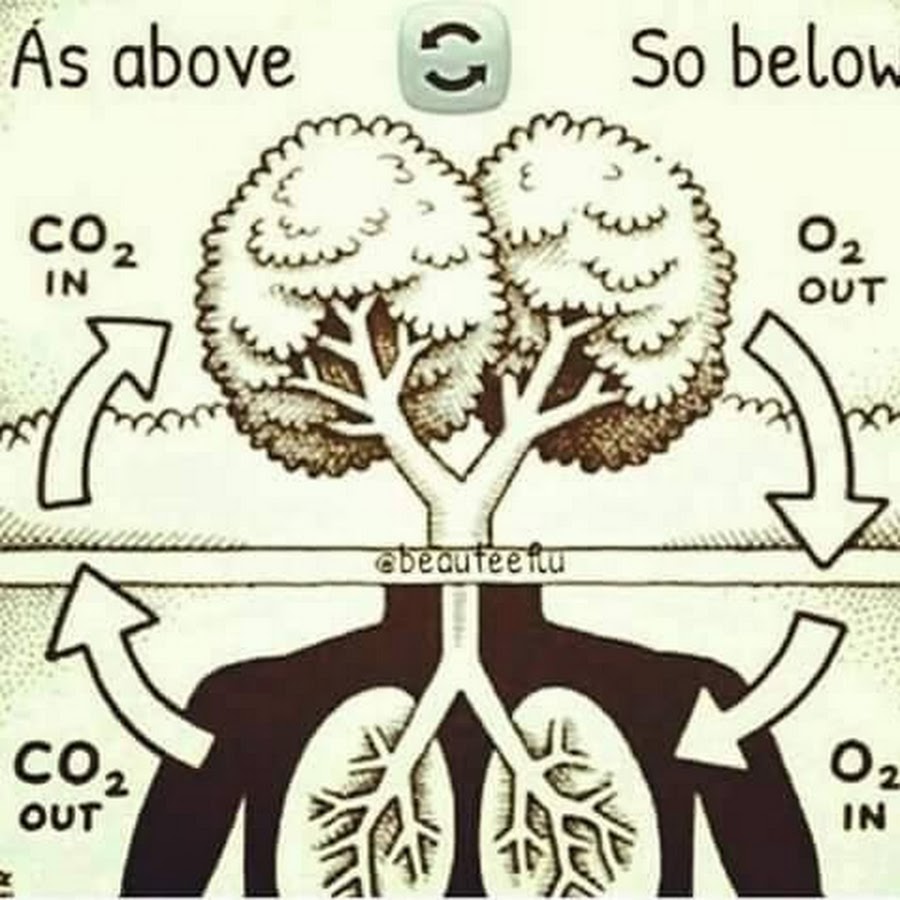 Below 2018. расположение предметов в пространстве на английском. навсегда ghostemane текст перевод. Look out below песня. фразовый глагол call.