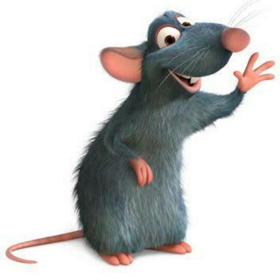 Ratinho Vlogs - YouTube