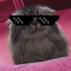 Grey Cat Diaries YouTube