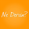 What could Ne Dersin? buy with $324.05 thousand?