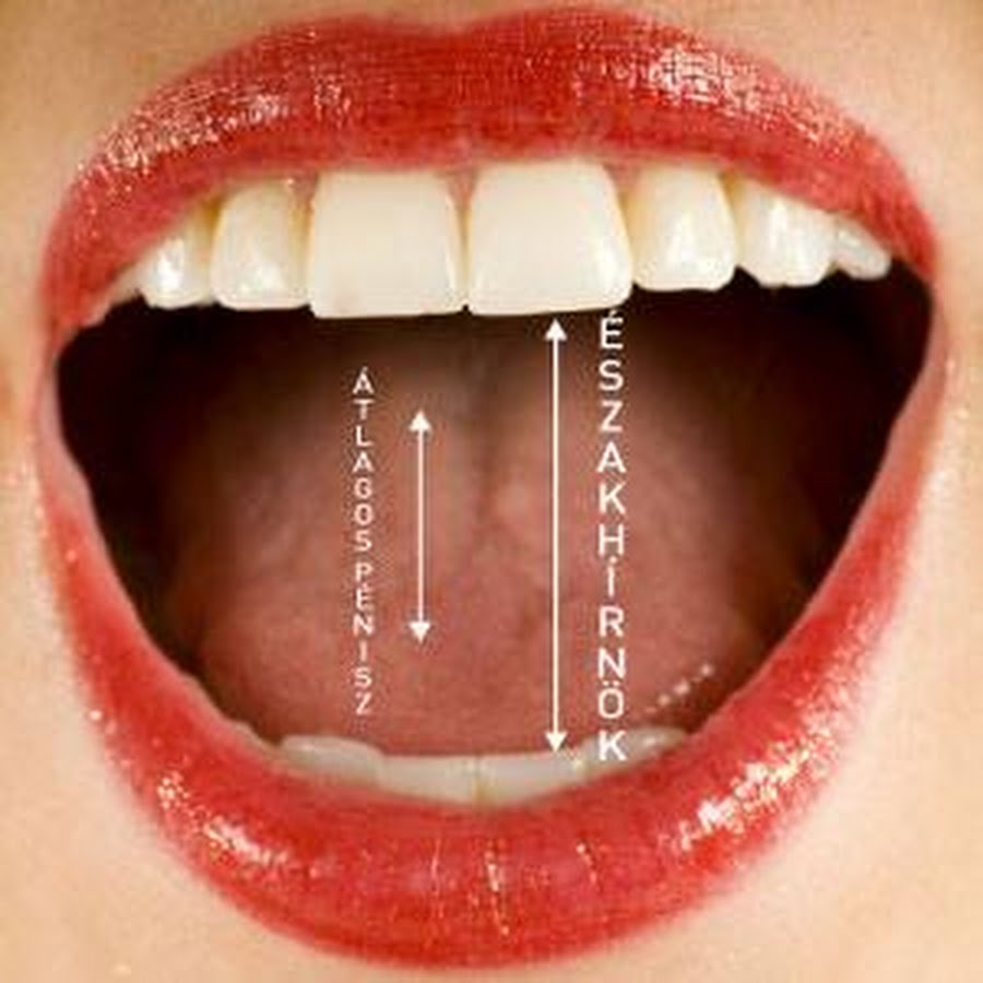 Чувственные губы. Устная речь. Корейцы для важных переговоров. Девушка облизывается. Открытый женский рот.