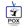 What could Pox Serralheria Tutoriais buy with $260.7 thousand?