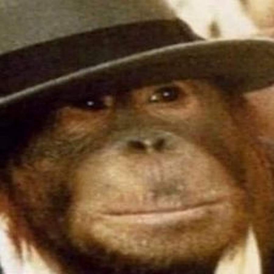 No Name Brand Orange Juice YouTube