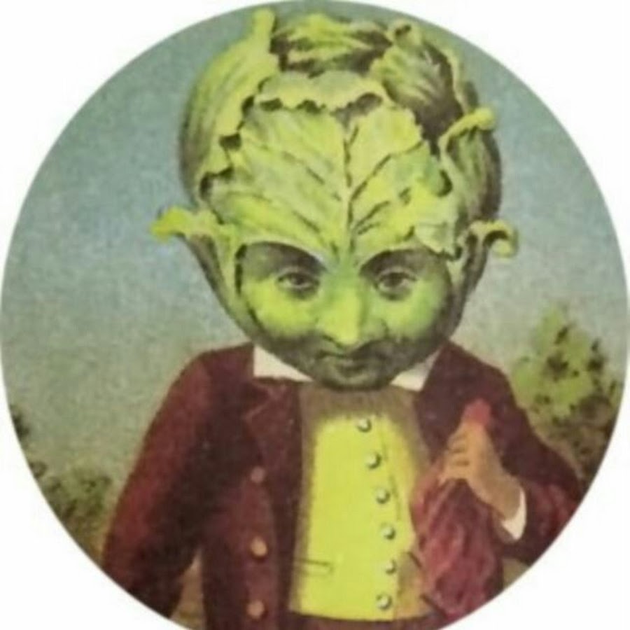 Вместо головы кочан капусты
