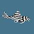 LHAntP-mr10-channel-avatar-Big Fish Little Fish Aquatics