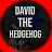 David the Hedgehog