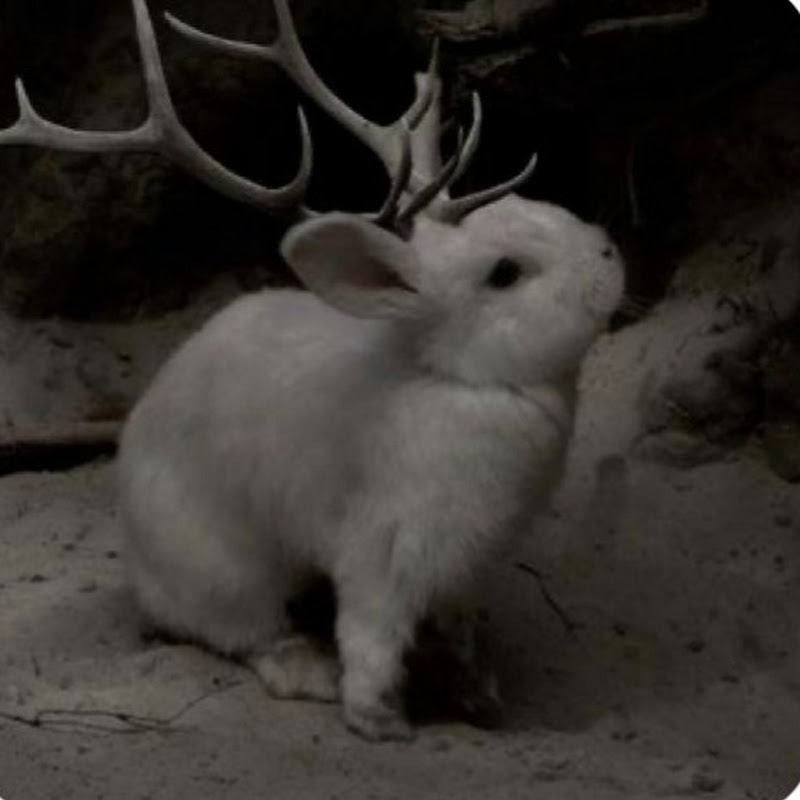 𝑠𝑎𝑟𝑎’𝑠 𝑐𝑜𝑟𝑛𝑒𝑟 🌙