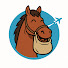 H8DYRrNduFo-channel-avatar-Nosebaggin'