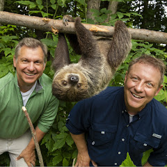 The Kratt Brothers (Wild Kratts)