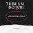 TRIBUNAL DO JÚRI: O VEREDITO FINAL