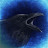 @crow66t's avatar