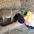 b5ZD5uYQG9k-channel-avatar-love donkey funny 