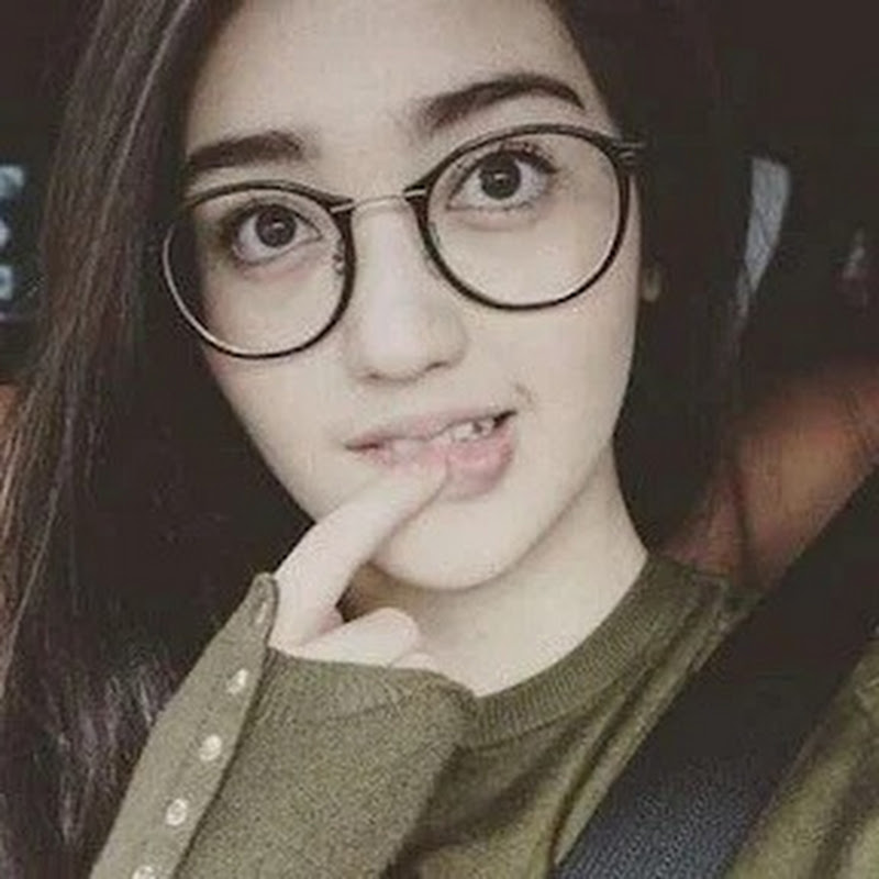 Kucing Montok icon