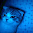 GyS4god1d_g-channel-avatar-not today
