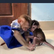 モモンガ