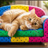 bLuLmGBsdHI-channel-avatar-Pet Alone