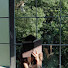 smpWJo2ehAE-channel-avatar-Summertime 책 읽는 아씨