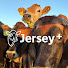 n21C01SNnk8-channel-avatar-Jersey +