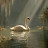 @مجهولَ-ن1س9ث