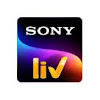 What could Sony LIV buy with $47.86 million?