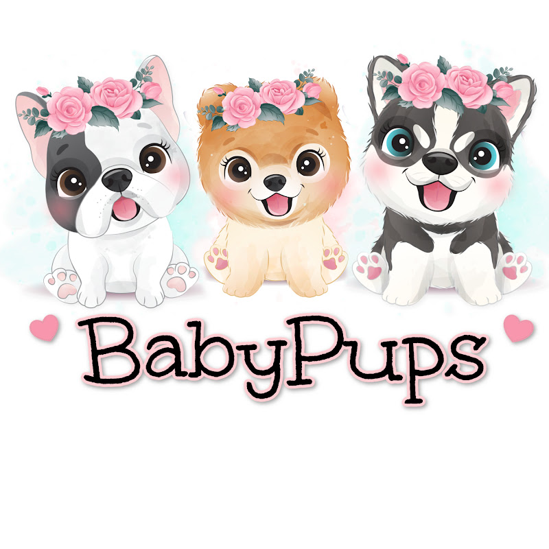 BabyPups San Antonio, TX