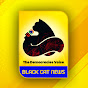BlackCat News logo
