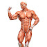 xvI8U4LdbGg-channel-avatar-Best Body Workouts and Fix Your Body After 50 | Men’s Mobility & Power