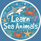Learn Sea Animals