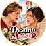 1qVigCt9GV4-channel-avatar-Destino Amaro and 2 more