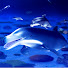 z5NEJiWwzkk-channel-avatar-vtube 大好き ruka