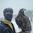 My Eagle