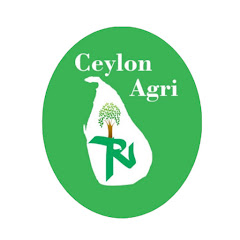 Ceylon Agri / සිලෝන් ඇග්‍රි Avatar
