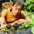 5SjeU_x5Ilk-channel-avatar-My Green Farm 