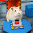BaudkNBpa_Q-channel-avatar-Hamster Maze