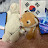 @국뽕치즈냥이-ka-sp-sh-sk