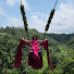 81vUhG6Q2Ts-channel-avatar-Vibrant Bhawna | Luxury Hotels & Travel