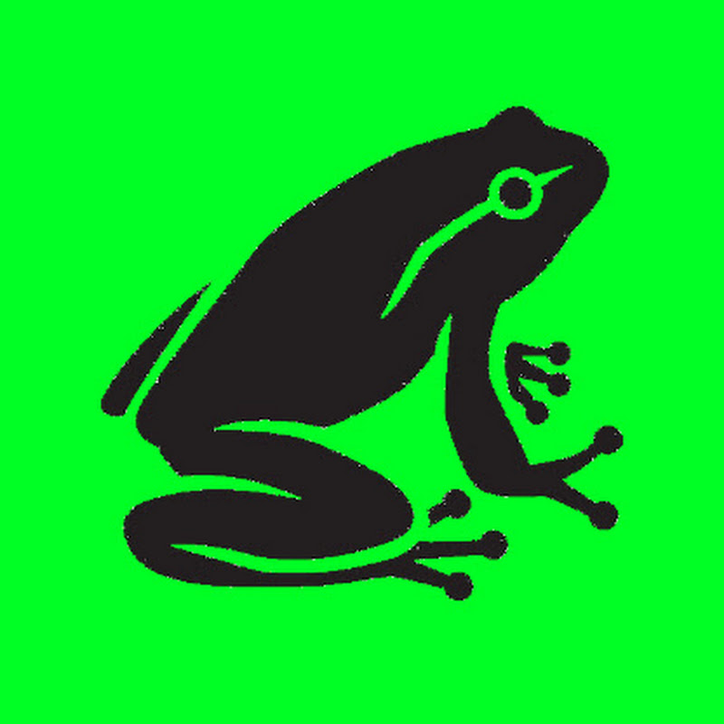 Bullfrog Boardgaming
