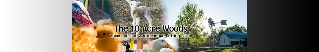 The 10 Acre Woods YouTube 频道头像