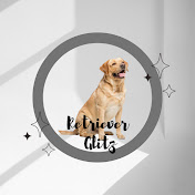 Retriever Glitz