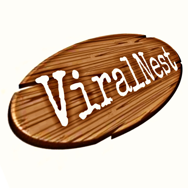 ViralNest icon