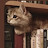 @Boekenwurmm