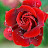@RENUKAS-123