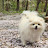 @다다익선-i4e